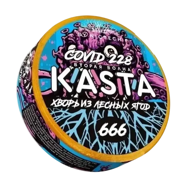 KASTA хворь из лесных ягод — 101 mg — снюс